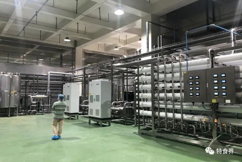 廣東實現(xiàn)保健食品生產(chǎn)企業(yè)體系檢查全覆蓋，數(shù)據(jù)處理服務(wù)助力精準(zhǔn)監(jiān)管